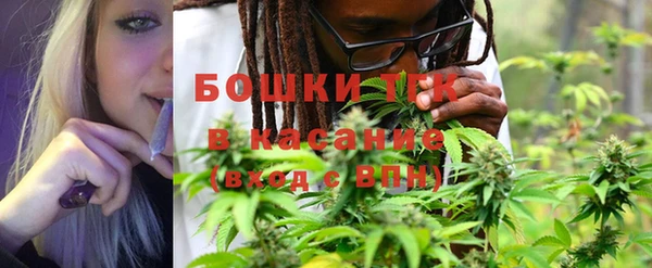 PSILOCYBIN Верея