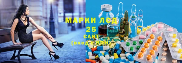 PSILOCYBIN Верея
