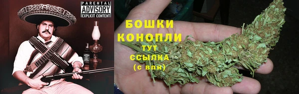 PSILOCYBIN Верея